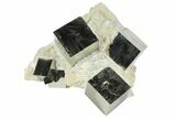 Wide, Natural Pyrite Cubes In Rock - Navajun, Spain #94334-2